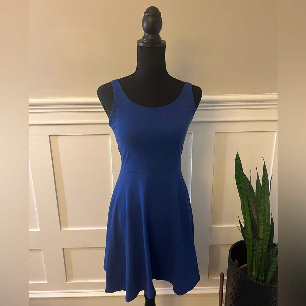 Express Royal Blue Dress